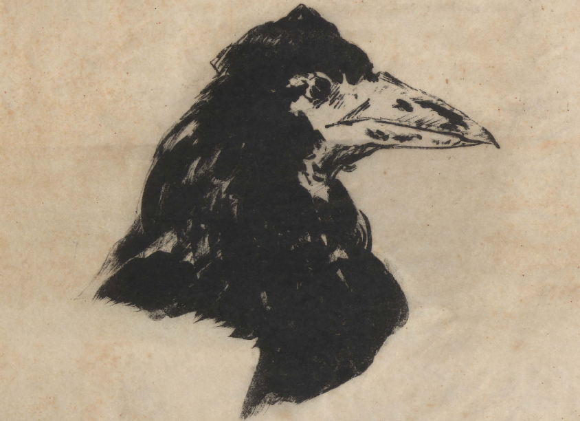 raven matisse